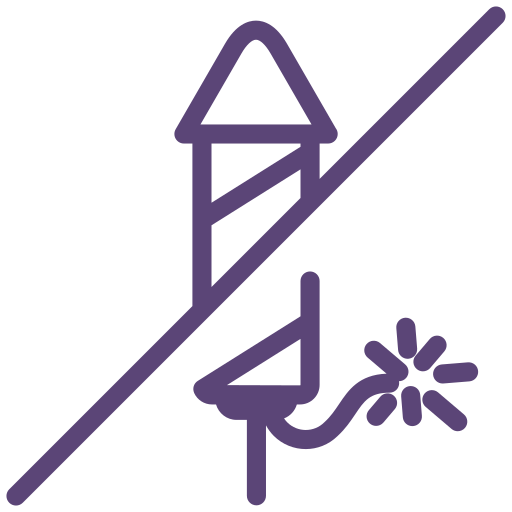 No, salut, fireworks, not allowed, sign icon